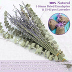 65 PCS Dried Eucalyptus Stems & Lavender Flowers Bundle for Shower, 17'' Natural Real Live Eucalyptus Leaves Greenery Hanging Lavender Shower Plant for SPA Home Fragrance Bathroom Wall Decor