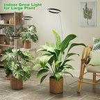 10" Grow Lights for Large Indoor Plants, Full Spectrum Indoor Plant Light for Indoor Growing with Timer,Height Adjustable Auto On/Off 3/9/12H, 9 Brightness,Led Tall Halo Grow Light for House Plants