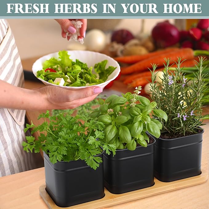LemonRoad 6 Pcs Indoor Herb Planter Window Herb Pots for Kitchen with Drainage Hole and Bamboo Tray Farmhouse Metal Garden Planter Pot with DIY Label Mom Plant Gift(Black,Square)