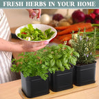 LemonRoad 6 Pcs Indoor Herb Planter Window Herb Pots for Kitchen with Drainage Hole and Bamboo Tray Farmhouse Metal Garden Planter Pot with DIY Label Mom Plant Gift(Black,Square)