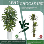 Artificial Dracaena Tree：6FT Faux Silk Tropical Yucca Floor Trees Realistic Fake Green Plant with Natural Wood Trunk & Lifelike Leaves for Home Office Decor Indoor & Outdoor (6FT,1-Pack,White)