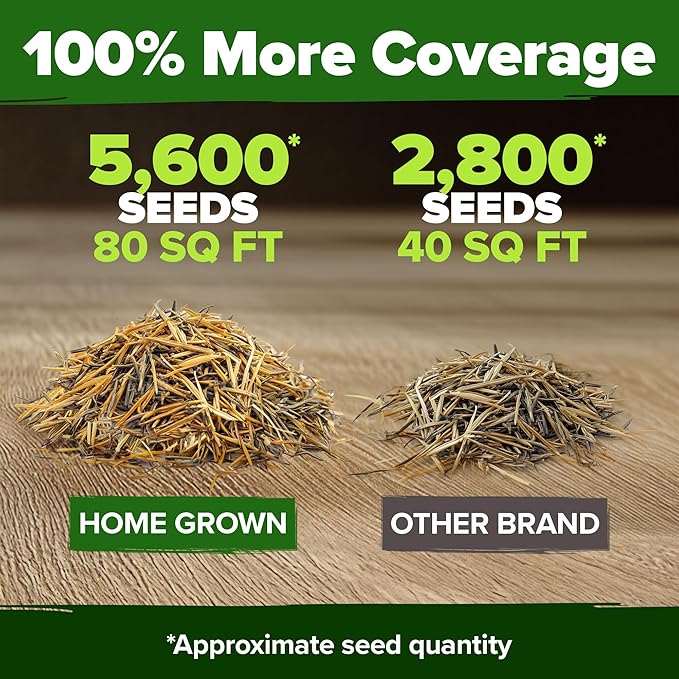 HOME GROWN Marigold Seeds Bulk Mix - 5600+ Crackerjack Marigold Flower Seeds for Planting Outdoors -Flowers Seed for Companion Planting -Wildflower African Marigold(Tagetes erecta)