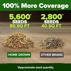 HOME GROWN Marigold Seeds Bulk Mix - 5600+ Crackerjack Marigold Flower Seeds for Planting Outdoors -Flowers Seed for Companion Planting -Wildflower African Marigold(Tagetes erecta)