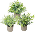 3 Pcs Fake Plant Set, Mini Artificial Potted Greenery, Small Faux Plants Decorative Accents for Home Office Desk Shelf Table Indoor Room Decoration