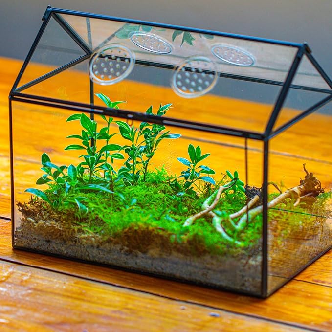 NCYP Glass Terrarium with Lid and Air Holes for Snails - 10.2" x 5.9" x 8.2" House Shape Geometric Clear Terrarium, Indoor Tabletop Decor Black (Plants Not Included)