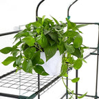SUNGIFT Greenhouse for Outdoors, Walk-in Greenhouses 56 x 85 x 77 Inch, Portable Green House 3 Tiers 20 Shelves for Garden, Patio, Backyard, White