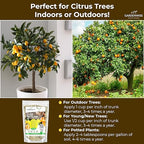 GARDENWISE Professional Citrus Fertilizer + Vital Micronutrients; Perfect Balanced NPK for All Citrus; for Indoor and Outdoor Plants; Orange, Lime, Avocado and Lemon Tree Fertilizer (3 QUARTS)