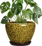 8 Inch Flower Pot - Ceramic Planters for Indoor Outdoor Plants, Round Plant Pot with Drainage Hole and Saucer, Decorative Indoor Planter, Bathroom Decor, House Warming Gifts, Yellow Leopard