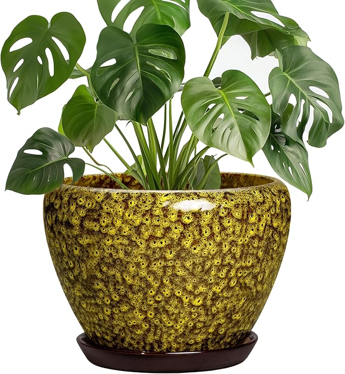 8 Inch Flower Pot - Ceramic Planters for Indoor Outdoor Plants, Round Plant Pot with Drainage Hole and Saucer, Decorative Indoor Planter, Bathroom Decor, House Warming Gifts, Yellow Leopard