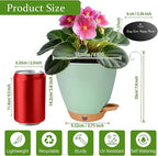 6 Inch Self Watering Pots for Indoor Plants(5-Pack) – Small Plastic Planters with Water Level Window, Drainage Holes & Detachable Trays, Indoor Outdoor Flower Pots for Herbs, Snake,Pothos (Green)