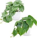 Der Rose 2Pcs Small Fake Plants Artificial Mini Faux Plants for Bathroom Office Desk Shelf Table Accessories Decor Indoor