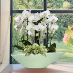 Ceramic Bonsai Pot - 18 Inch Planter with Drainage Hole Large Modern Bonsai Planter Decorative Succulent Flower Plant Pot for Indoor Plants Outdoor Green