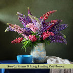 Clovers Garden Lupine Gallery Mix (Lupinus) Plants – Two (2) Live Plants – Non-GMO - Not Seeds - Each 4" to 8" Tall – in 4" Inch Pots – Perennial Flower