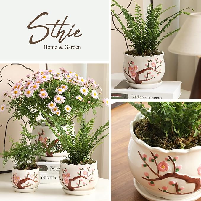 Ceramic Plant Pots with Drainage Holes and Saucers, Round Flower Pots for Indoor Plant, 4/5.2/6.6 Inches Small Flower Planters Set of 3