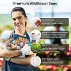 Groundio Wildflower Seeds Bulk, 4 Ounce, 200,000+ Seeds, 26 Varieties Annual & Perennial Flower Seeds Mix with Zinnia, Milkweed, Butterflyweed, Attracts Pollinators, Plant in Spring or Fall