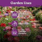 KVITER 5000 Single Mix Poppy Seeds (Papaver Rhoeas) - Shirley Poppies, Mix Color, Tall Flowers, Deer Resistant Cut Flowers, Wildflower Seed Packets - Annual Flower Seeds for Outdoor Garden, Flower Bed