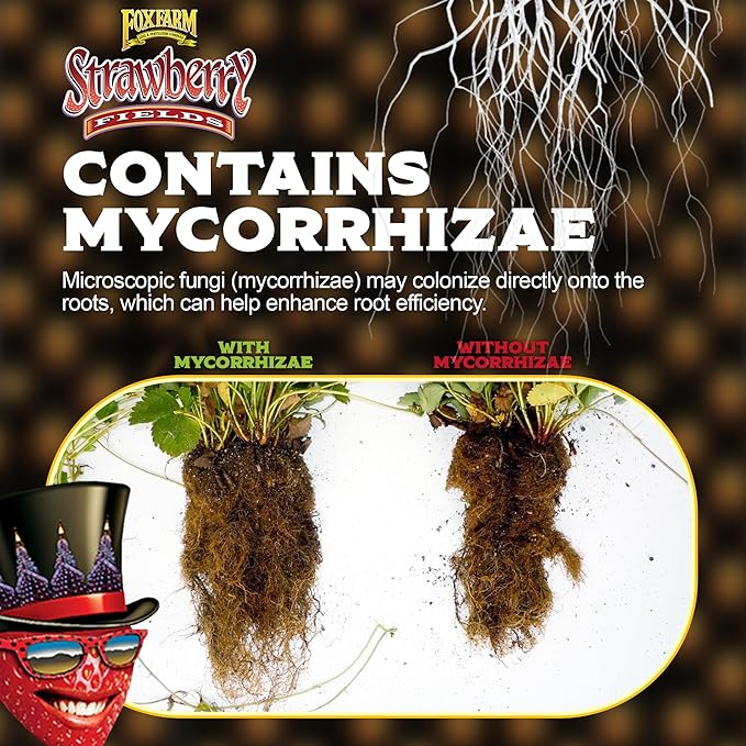 FoxFarm Strawberry Fields Fruiting & Flowering Potting Soil, 1.5cu ft (Pack of 4) - Designed to Pump Up Your Blooms, Fruits, and Berries - Made for the Fruiting and Flowering Stages of Plants