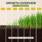 Todd's Seeds Cat Grass Seeds (1 Lb Bulk) | Premium Wheatgrass for Indoor Cats | Fast Growing Pet Grass in 5 Days | Non-GMO, Chemical Free, Hairball & Digestive Aid