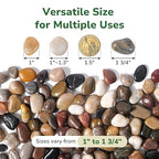 GreatBuddy 15-lb River Rocks, Decorative Rocks for Indoor Plants, 1-1 3/4 Inches Natural Polished Pebbles for Aquarium, Vases, Potted Plants, Garden Landscaping Outdoor, Mixed Color Stones