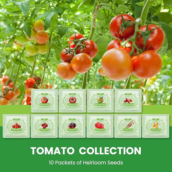 10 Pack Heirloom Tomato Seeds Variety Pack -5000+ Non-GMO Garden Seeds for Planting Outdoors & Indoor Home Gardening Gift, Roma, Chreey Tomatoes & More