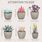 Set of 6 Artificial Succulents Potted - Realistic Mini Fake Cactus Plants in Paper Pulp Pots, 2-4'' Mixed Sizes for Farmhouse Shelf, Bathroom, Coatrack Shelf, Bedroom Indoor(Vivid Style)