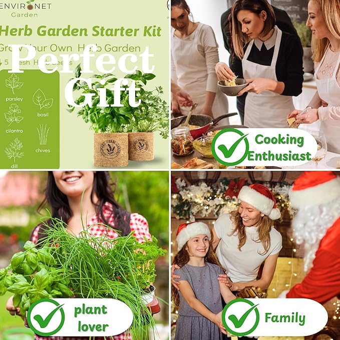 5 Herb Indoor Garden Kit- Unique Chrismas Herb Gardening Gift, Home Kitchen Gift for Mom, Friends, and Gardeners, Basil, Parsley, Chives, Cilantro, Dill