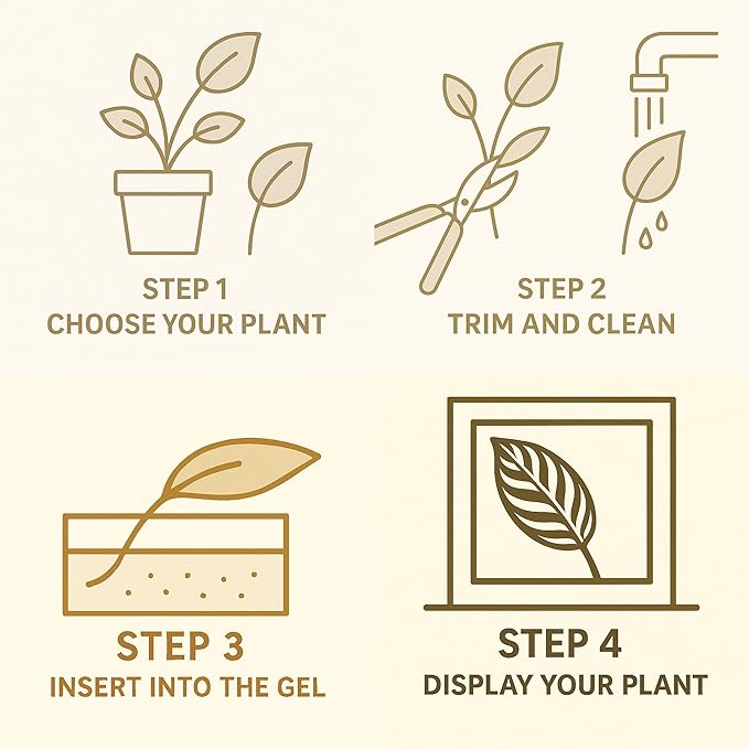 DIY Live Plant Art – Grow Your Creation with Terra Gel | Easy to Use | Living Plants in Every Picture