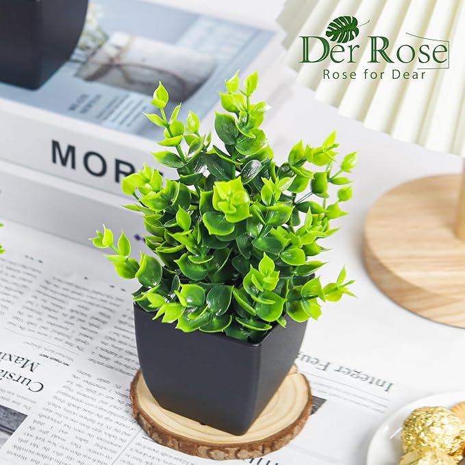 Der Rose 4 Packs Fake Plants Small Artificial Mini Faux Plants for Bathroom Home Office Shelf Black Decor Indoor