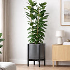 D'vine Dev Ceramic Planter with Ebony Stand - 14 Inch Modern Round Flower Pot with Wood Planter Holder, Grey, 55-B-S-3