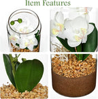 White Orchids Artificial Flowers with Vase, Small Faux Orchid Arrangement Fake Orchids Plant in Terrarium Jar Small White Orchid Centerpieces for Kitchen Dining Room Tables Bathroom Nightstand Decor