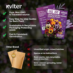 KVITER 1600 Swiss Giants Pansy Seeds For Planting (Viola wittrockiana) – Mixed Colors Seed Packets Viola Edible Blooms – Perennial Flower Seeds to Plant Outside Garden Seed Mix, Containers Flower Beds