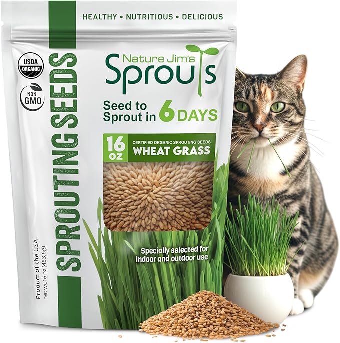 Nature Jims Sprouts Wheat Grass Seeds – Non-GMO Organic Seeds for Planting, Cat Grass for Growing & Sprouting – Resealable Bag for Fresh Wheatgrass Sprouts – Vitamins, Minerals, & Fiber-Rich –16oz