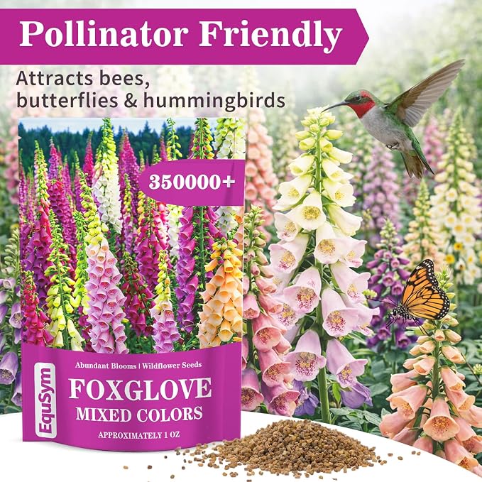 350,000+ Foxglove Seeds for Planting - Digitalis Purpurea Seeds, Tall Ornamental Flower Seeds for Outdoor Cottage and Pollinator Gardens