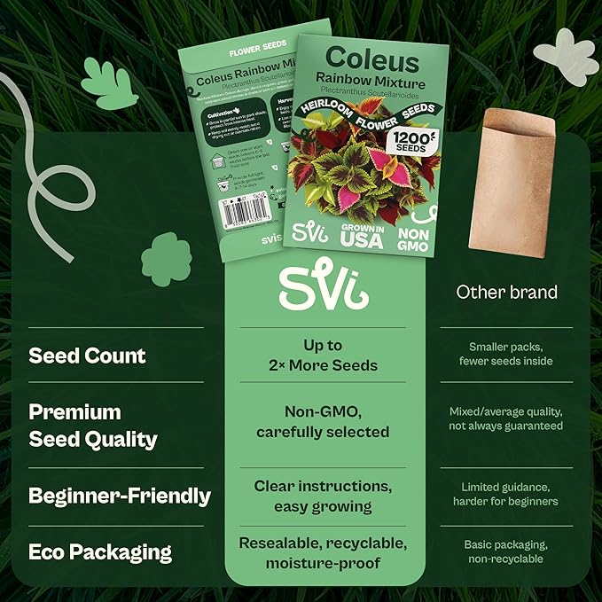 SVI 1200 Rainbow Coleus Seeds (Plectranthus Scutellarioides) - Painted Nettle Garden Seed Packets, Colorful Foliage Mix, Shade Tolerant - Annual Flower Seeds for Indoor & Outdoor Garden and Borders