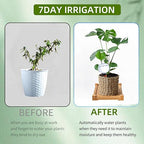 2 Pack Self Watering Globes for Indoor & Outdoor Plants – 17oz Automatic Water Bulbs for Indoor Plants–Slow Release Control Water Dripper for Plants – Plant Watering Devices While Away
