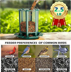 Birdream Bird Feeders for Outdoor Hanging, Pagoda Design Fun Installatio 2.5 LB Wild Bird Feeders, Attracting Wild Birds Cardinal Sparrows Finch Goldfinch Chickadee - Green