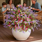 12 Bundles Artificial Coleus Flowers | UV Resistant No Fade Silk Faux Plants | Spring Summer Outdoor Fake Greenery for Garden Patio Planters Front Porch Pathway Decor (Pink)