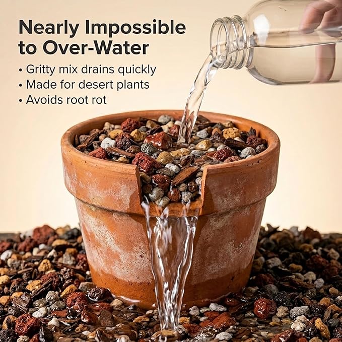 Molly's Succulent Mix - Premium Gritty Soilless Potting Mix for Succulents, Cactus and Bonsai - Contains Akadama, Hyuga, Bark Fines, Pumice, Lava Rock, Mycorrhizae 3 Dry Quarts