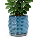 D'vine Dev 8 Inch Ceramic Beaded Stoneware Planter Pot - Flower Pot with Drainage Holes and Saucers for Indoor Succulent Plants or Flowers, Ocean Teal, 27-C-Q-8