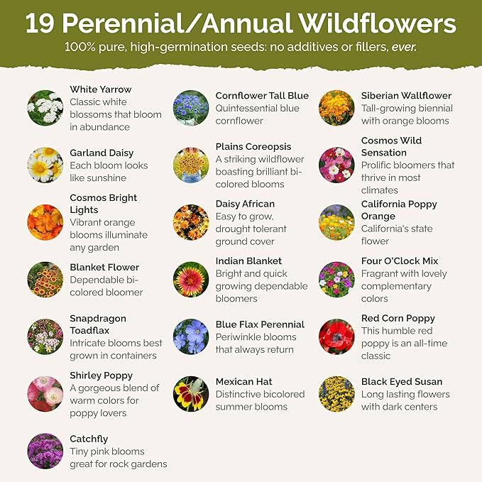 Eden Brothers Dry Area Wildflower Mixed Seeds for Planting, 5 lb, 2,400,000+ Seeds with Cosmos, African Daisy, Blue Flax | Attracts Pollinators, Plant in Spring or Fall, Zones 3, 4, 5, 6, 7, 8, 9, 10