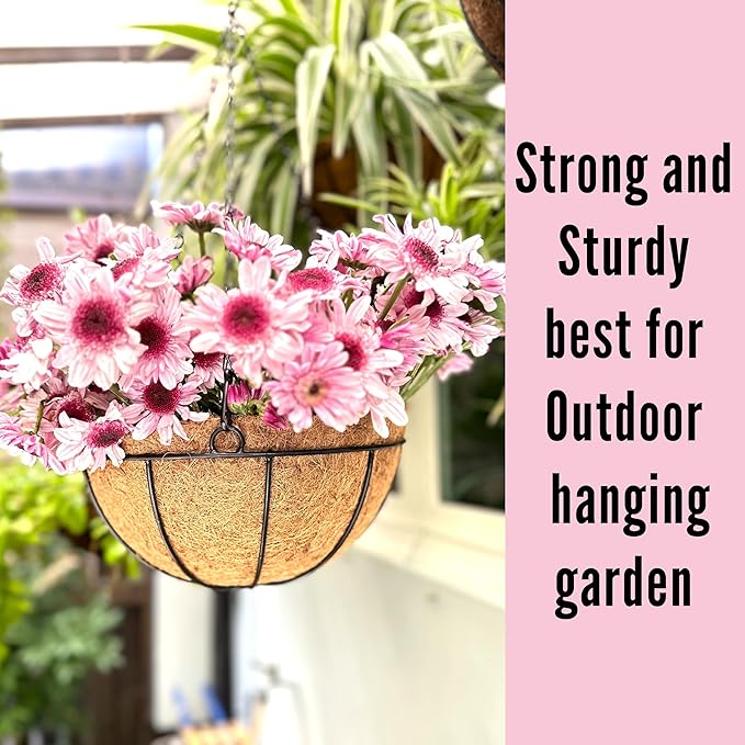 LaLaGreen Hanging Baskets for Plants (10 Pack, 10 Inch) Hanging Planter Outdoor with Coco Liner, Metal Wire Flower Basket Pots Holder Hanger Hook Deck Patio Porch Garden Balcony Outside Decoration