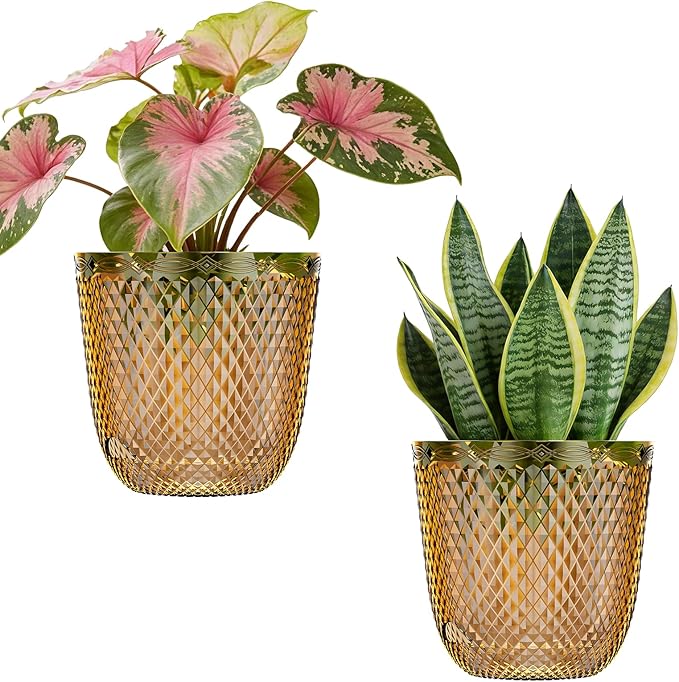 QCQHDU 2 Pack Self Watering Pots, 5.7 Inch Flower Pots with Drainage Holes and Water Filling Port, Garden Planter for Indoor Outdoor Plants (Gold)