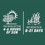 Pennington Smart Seed Sun and Shade Grass Mix 7 lb
