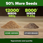 HOME GROWN Hard Red Winter Wheatgrass Seeds 12,000+ Bulk 1.5 lb Heirloom Non-GMO, Sprouting for Juicing, Healthy Smoothies, Pet Cat Grass, Microgreens, Indoor Garden (Triticum aestivum)