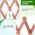 Expandable Garden Lattice Fence, Wooden Trellis for Climbing Outdoor Plants, Stretchable Panel Wall Trellis Vertical Rack Wood Frame Patio Decorative for Vine Ivy Rose