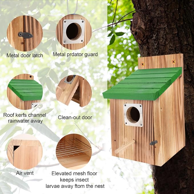 4-Pack Blue Wooden Bird Houses for Outdoors with Predator Guard, Bluebird Houses for Outside – Ideal for Bluebirds & Other Backyard Birds, Green