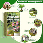 ZeeDix 3.3 lbs Forest Moss for Plants Indoor - Dried Orchid Moss for Repotting, Natural Green Sphagnum for Potted Plants Carnivorous Monstera Succulents Crafts Reptile Habitat (Expands to 60 qt)