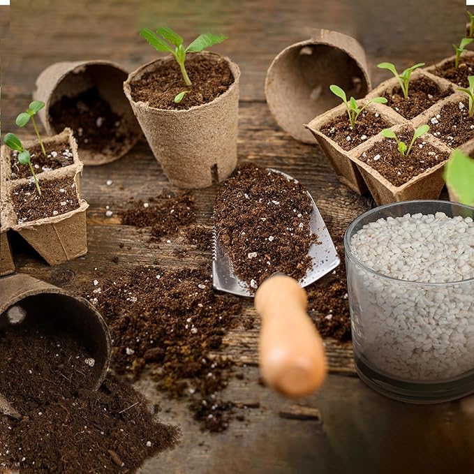 Horticultural Perlite for Plants 2qt, All Natural Horticultural Soil Additive Conditioner Mix, Improve Ventilation and Drainage, Enhance Soil Health and Root Growth