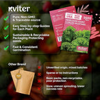 KVITER 1500 Southern Giant Curly Mustard Seeds (Brassica juncea) – Non GMO Heirloom Fast Growing Mustard Seed Packets – Vegetable Seeds for Planting Leafy Greens for Home Garden Spring & Fall Planting