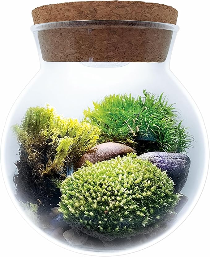 Create Your Serene Moss Sanctuary with The Unique Gardener Moss Bowl Terrarium Kit with LED Light - Complete Terrarium Supplies, Indoor Plants for Stress Relief & Air Purification!